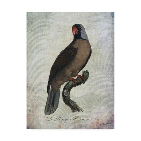 Trademark Fine Art John Butler 'Parrot Jungle I' Canvas Art, 18x24 WAG01214-C1824GG